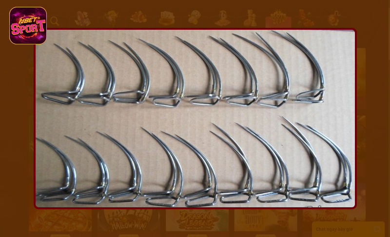 Khám phá các loại cựa gà đá phổ biến