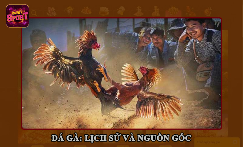 Nắm rõ nguồn gốc xuất xứ của bộ môn đá gà