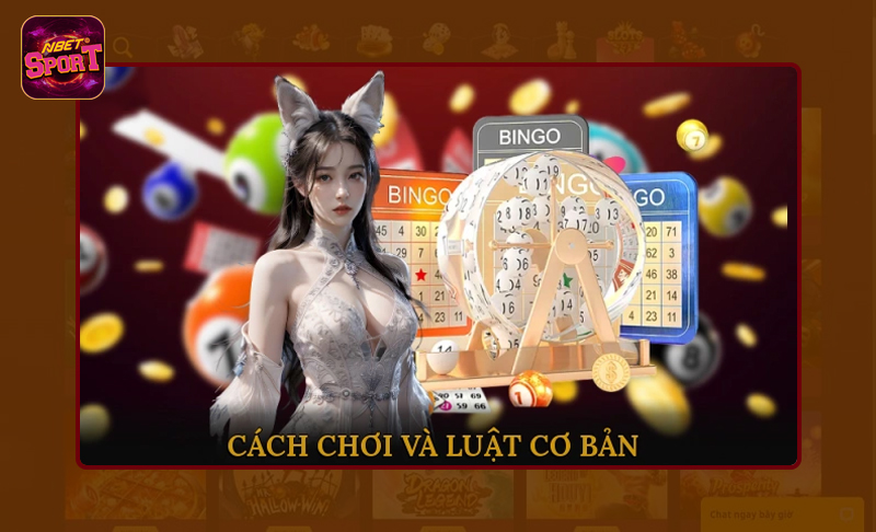 Trải nghiệm xổ số miền Bắc với bí kíp vàng thắng lớn