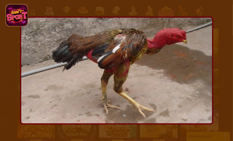 Hiểu rõ nguyên nhân giúp đưa ra cách khắc phục hiệu quả